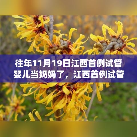 江西首例试管婴儿的成长历程，当妈妈的喜悦与体验之旅