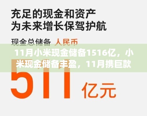 小米现金储备充足，开启自然探寻之旅，探寻内心平静的奥秘