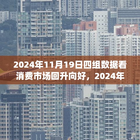 四组数据解析，2024年11月消费市场回升向好趋势展望