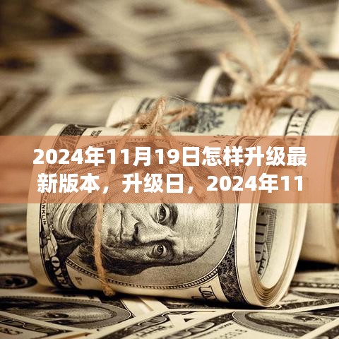 2024年11月19日版本升级指南，家的温馨与最新更新