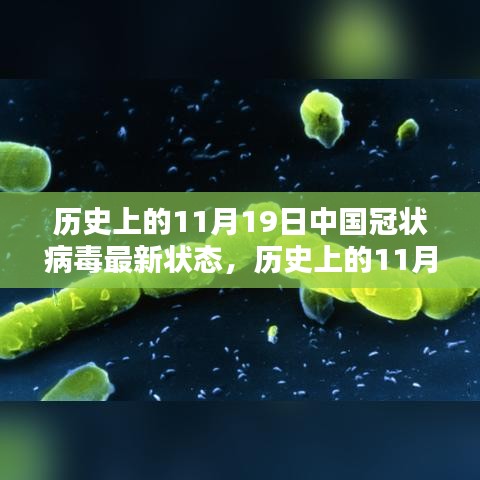 历史上的11月19日中国冠状病毒最新状态深度解析与全面评测