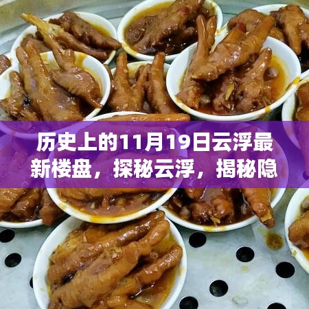 探秘云浮神秘楼盘与特色小店，历史上的11月19日云浮最新楼盘揭秘与小巷深处的独特风情