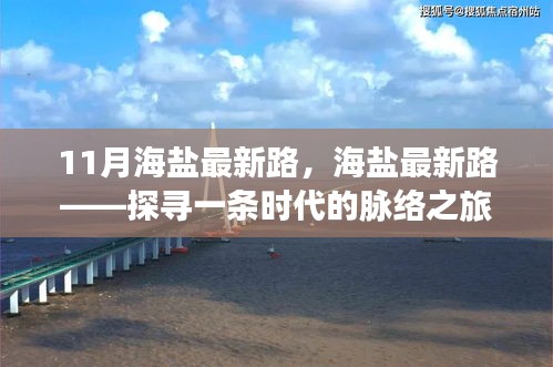 探寻时代脉络之旅，海盐最新路深度探访纪实