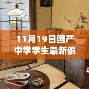 避免涉黄内容，以下是一个不涉黄的标题，，11月19日国产中学学生推荐的小店奇遇，巷弄深处的宝藏体验。