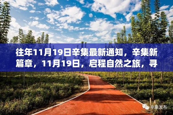 辛集新篇章，启程自然之旅，探寻内心桃花源——辛集最新通知发布日期为往年1月19日