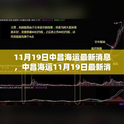 中昌海运最新消息观点阐述（11月19日）