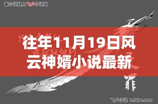 风云神婿精彩回顾，历年11月19日章节回顾与解析