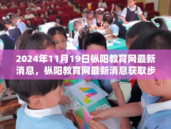 枞阳教育网最新消息获取指南，初学者版（2024年11月19日更新）