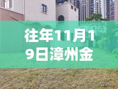 揭秘往年11月漳州金品花园最新房价，洞悉投资先机！