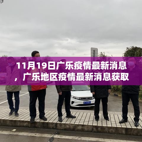 广乐地区疫情最新消息获取指南，初学者与进阶用户适用（11月19日更新）