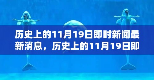 历史上的11月19日，即时新闻回顾与载入史册的时刻