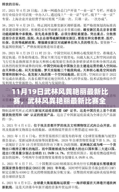 武林风龚艳丽最新比赛全攻略，荣耀时刻的步步为赢！