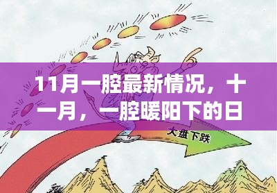 十一月暖阳下的日常趣事最新报道