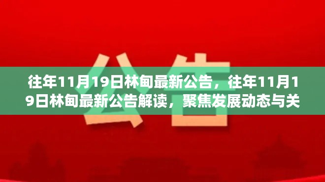 林甸县历年11月19日最新公告解读与动态聚焦，发展信息与关键更新