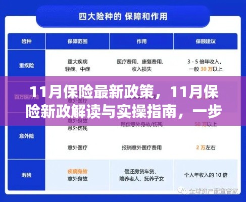 11月保险新政解读与实操指南，如何顺利适应最新保险政策