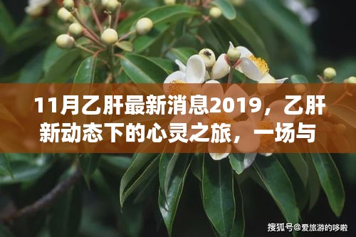 乙肝新动态下的心灵之旅，与自然美景的邂逅与心灵启迪（乙肝最新消息分享）