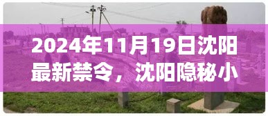 沈阳隐秘小巷神秘禁令揭秘，探寻特色小店的独特魅力之旅（2024年11月19日最新禁令）