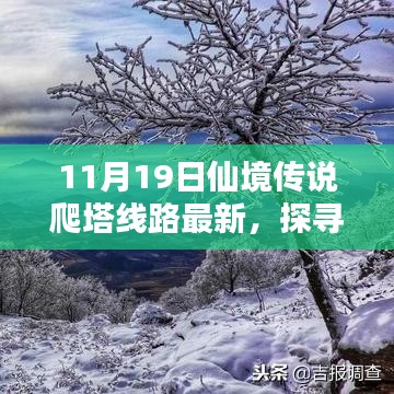 仙境传说爬塔线路全新启程，11月19日与自然美景的探秘之旅