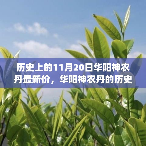 华阳神农丹历史价格变迁，成就梦想，自信照亮未来之路