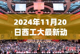 西工大最新动态，聚焦科研进展与教学新动向——2024年11月20日报告