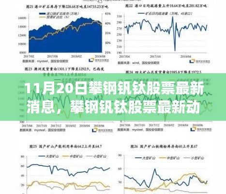 攀钢钒钛股票最新动态及深度测评，前景展望与最新消息（11月20日）