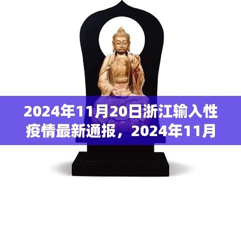 浙江输入性疫情最新通报，全面防控，守护健康（2024年11月20日）