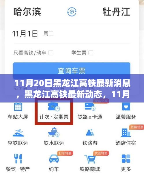 黑龙江高铁最新动态与出行指南，11月20日实用信息更新