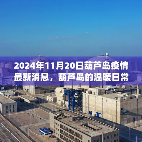 葫芦岛疫情下的温暖日常与友情，趣事记录于2024年11月20日