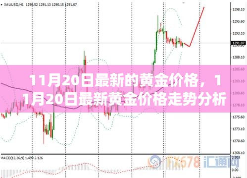 11月20日黄金价格走势分析，洞悉最新动态与投资指南