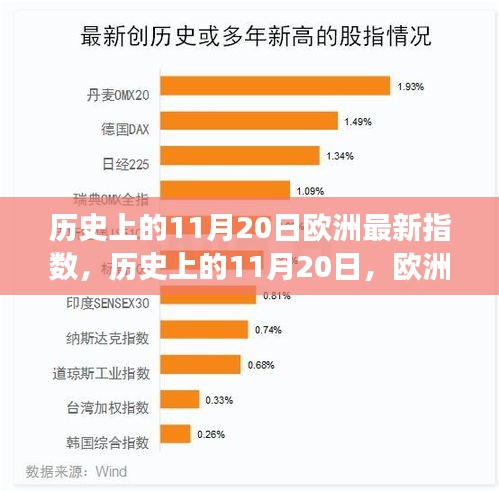 历史上的11月20日，欧洲指数见证变革，激发潜能之旅