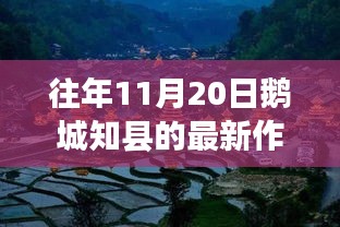 往年11月20日鹅城知县的最新作品，探秘鹅城知县新作，小巷深处的独特风味——一家隐藏的美食宝藏