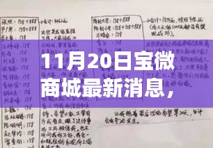 揭秘宝微商城新功能与优惠活动，最新动态消息速递（日期标注）