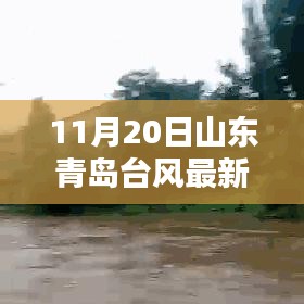 山东青岛台风最新动态，11月20日深度解析及应对准备