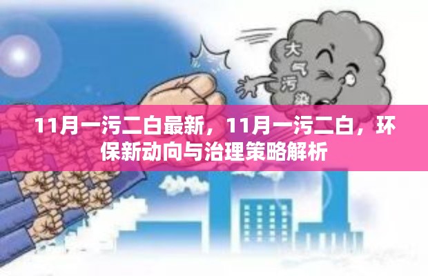 11月一污二白新动向，环保治理策略深度解析