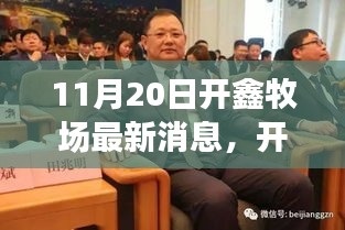 11月20日开鑫牧场最新消息，深度解析产品特性、用户体验与竞品对比