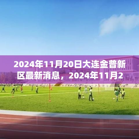 2024年11月20日大连金普新区蓬勃发展展望