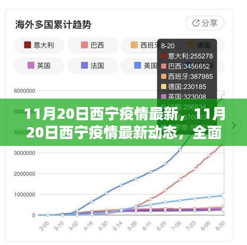 11月20日西宁疫情最新动态，全面解析与关注要点