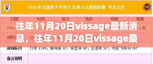 往年11月20日Vissage最新消息，全面评测与深度介绍