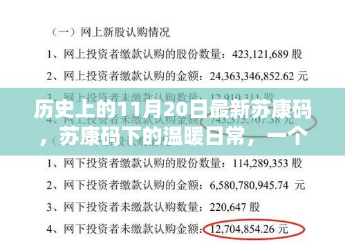 苏康码下的温暖日常，友情与陪伴的温馨故事