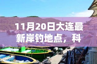 大连岸钓新地标揭秘，科技赋能钓鱼生活，最新岸钓地点大盘点（11月20日）