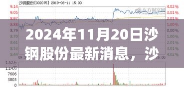 沙钢股份最新动态，与自然美景的邂逅心灵之旅（2024年11月20日）