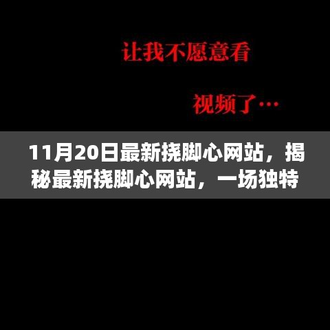 最新挠脚心网站揭秘，互动体验之旅开启