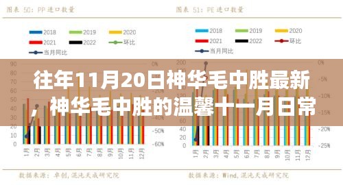 神华毛中胜的秋日友情奇妙旅程，温馨十一月日常记录