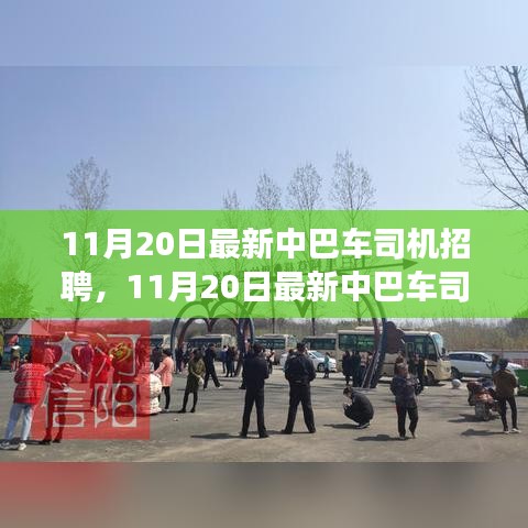 11月20日中巴车司机招聘启事，职业前景与应聘指南全解析