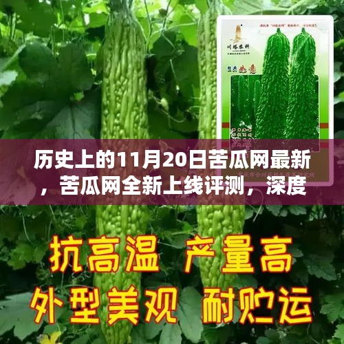 历史上的11月20日苦瓜网最新，苦瓜网全新上线评测，深度解析历史上的11月20日更新及其特性