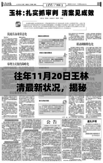 揭秘王林清最新状况，聚焦往年11月20日的变迁历程。