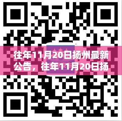 往年11月20日扬州最新公告深度解析与介绍