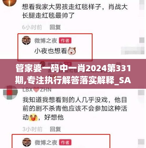 管家婆一码中一肖2024第331期,专注执行解答落实解释_SAD8.51