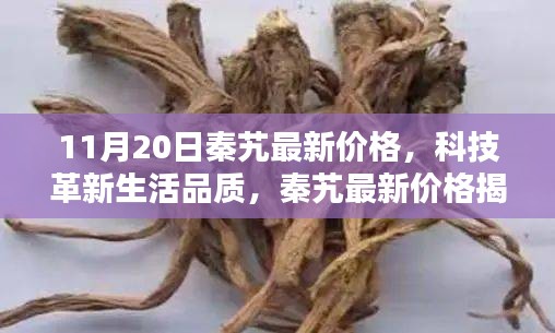 11月20日秦艽最新价格，科技革新生活品质，秦艽最新价格揭晓，体验未来智能科技的魅力