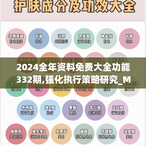 2024全年资料免费大全功能332期,强化执行策略研究_MPY4.40